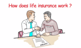 How does life insurance work?