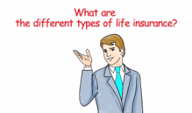 What are the different types of life insurance?